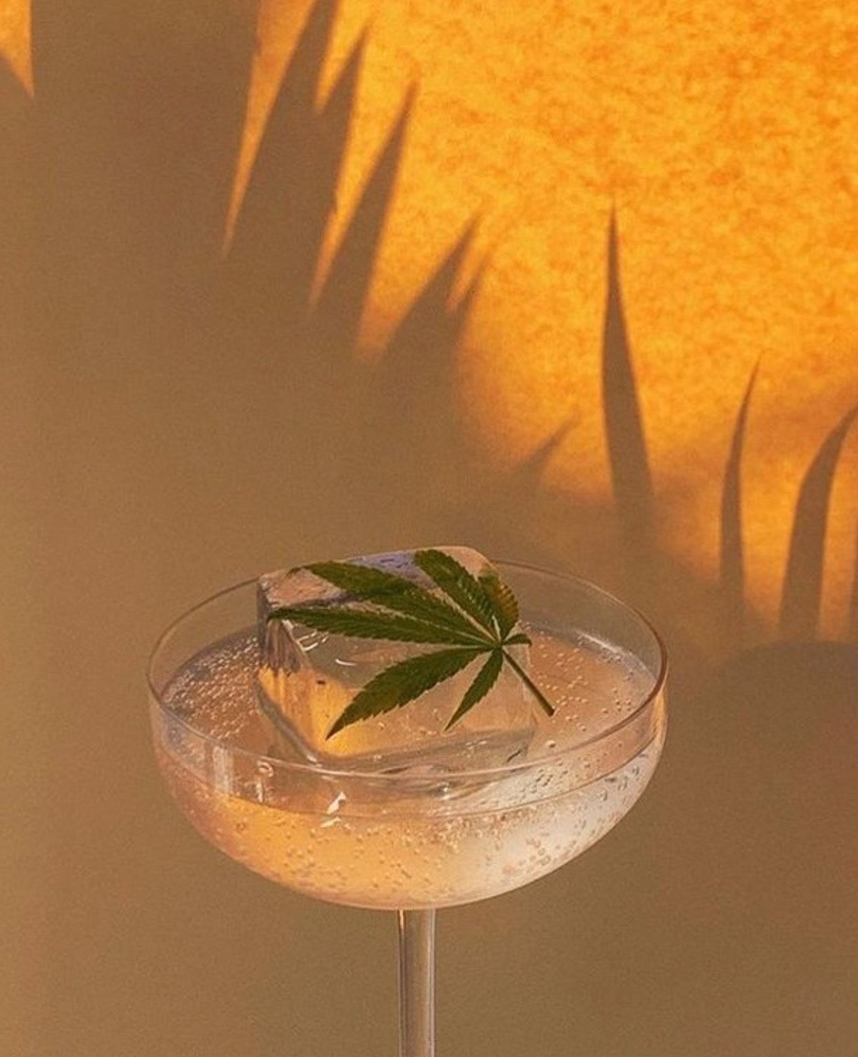 Lifestyle Brand Blumenes Shares their New Year's Resolution for 2021