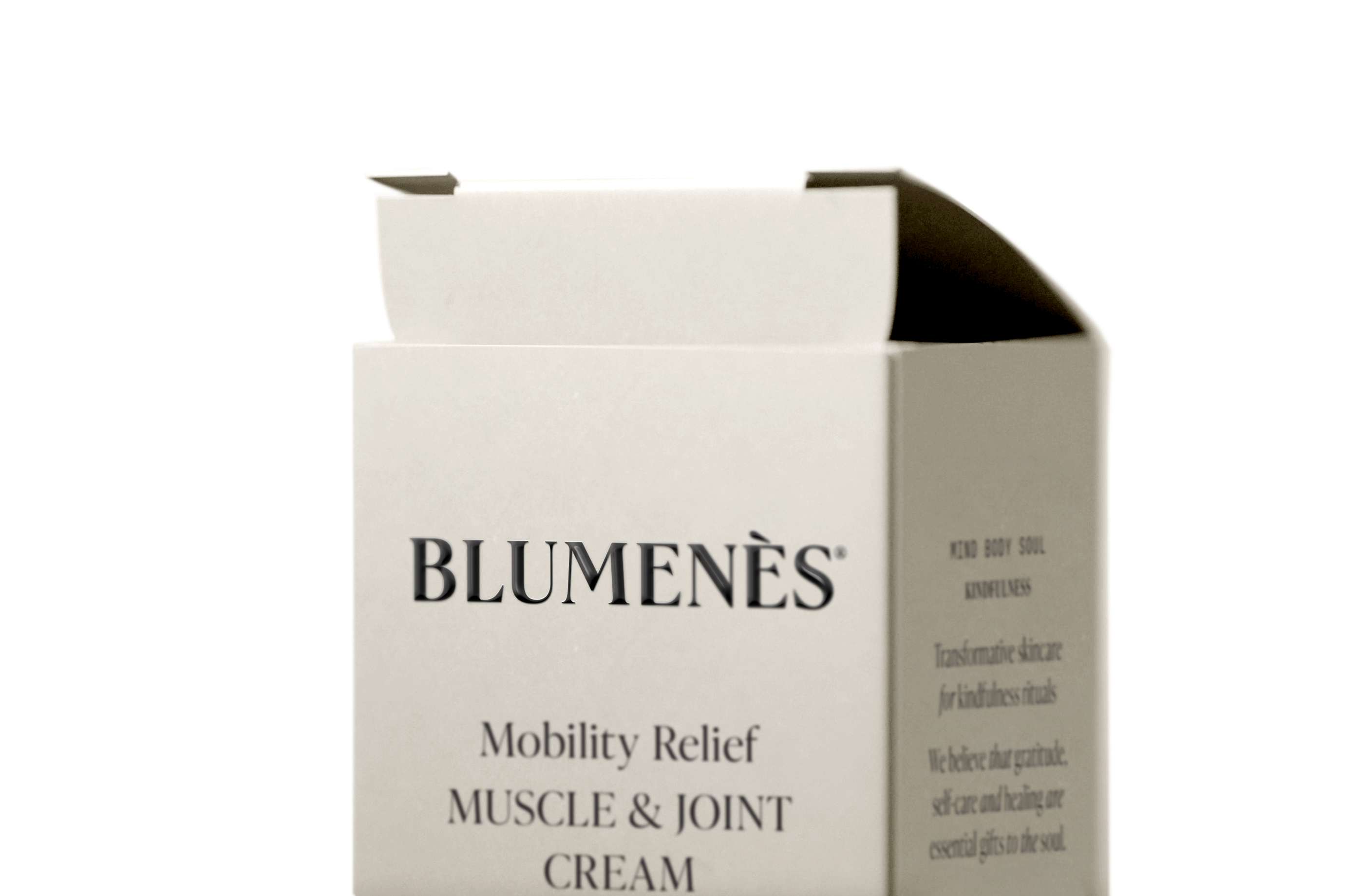 Blumenes_MontajeCaja.png