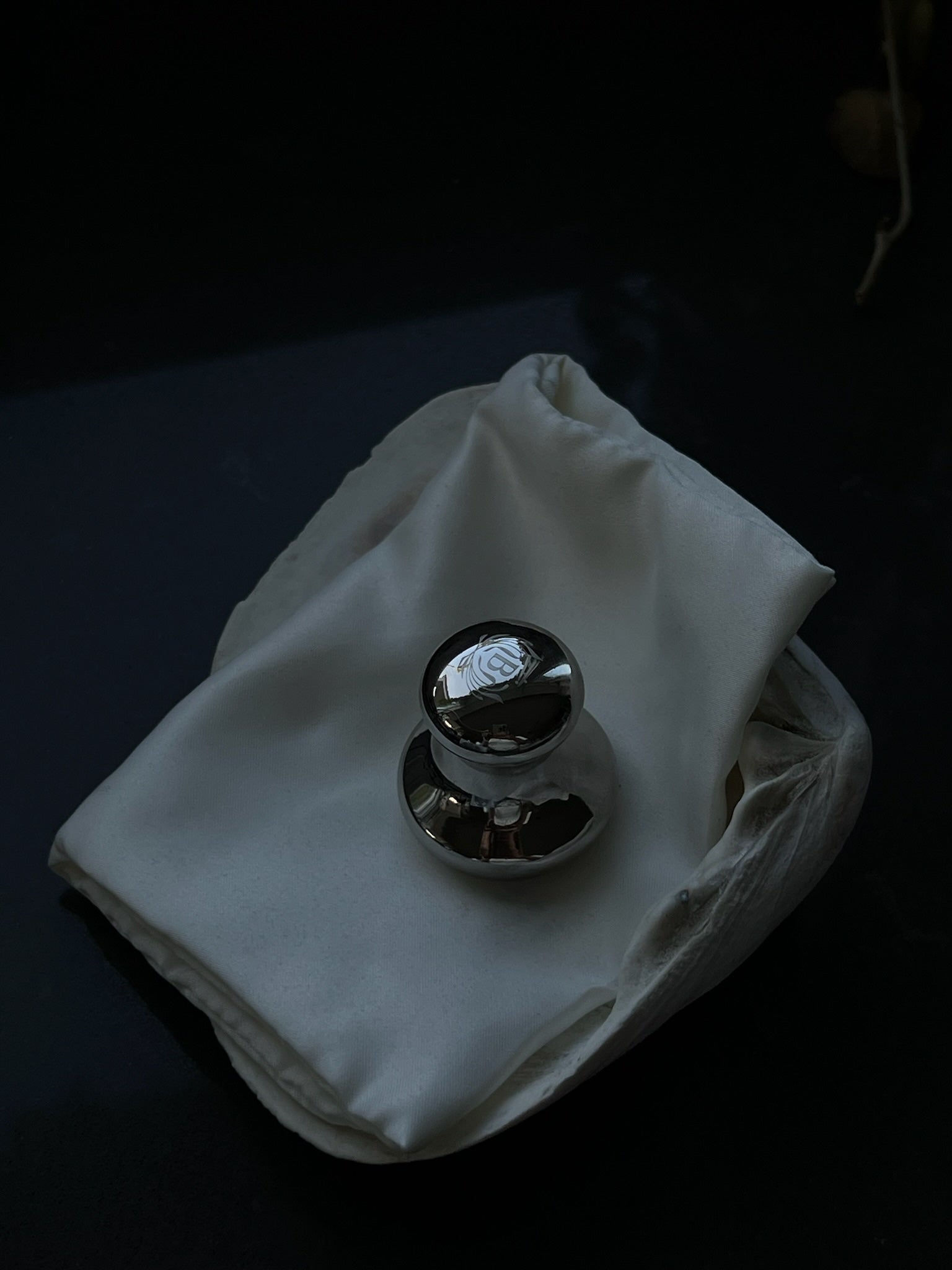 Mushroom Stainless Steel Gua Sha