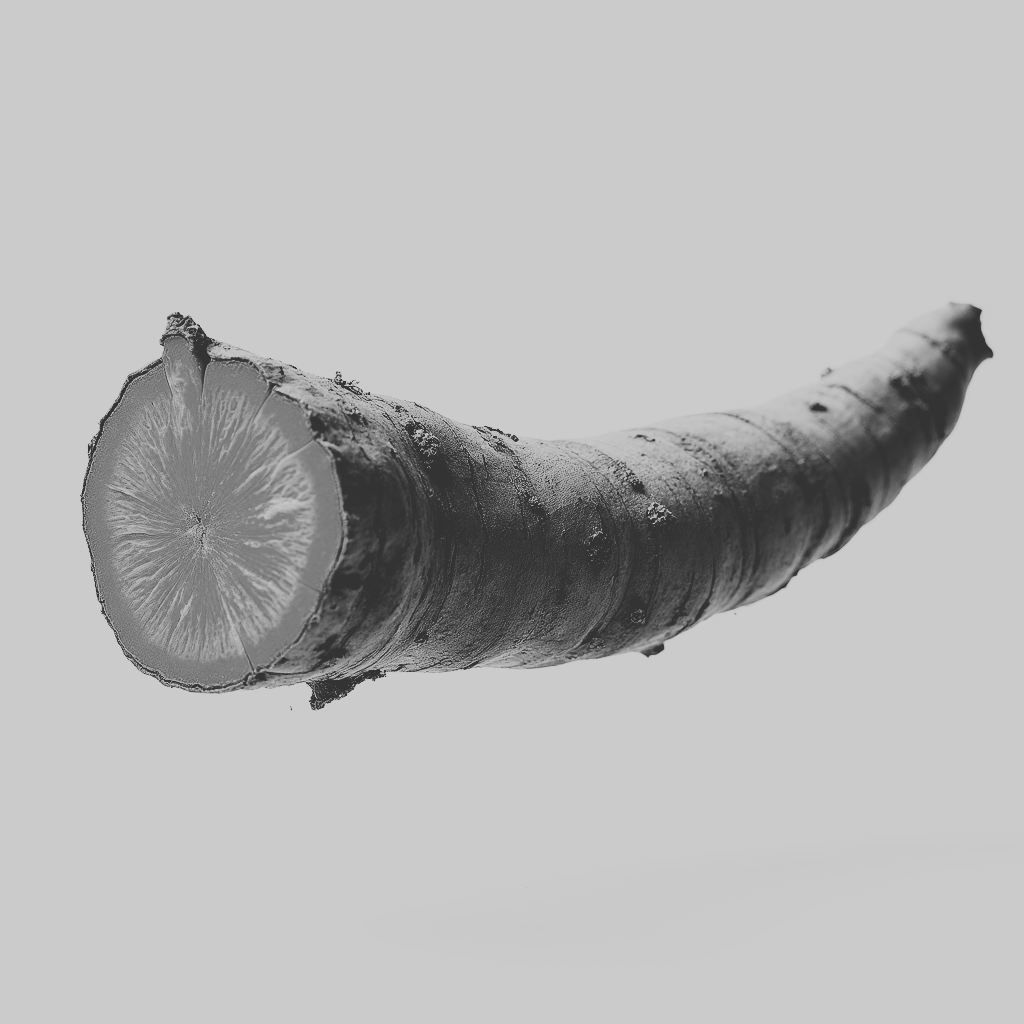 Turmeric