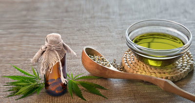 What's The Difference Between Hemp Seed And CBD Oil?