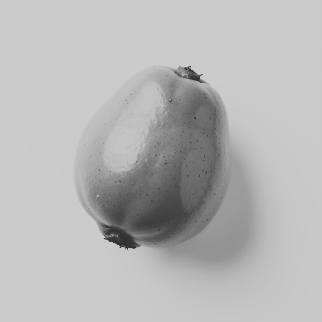 Marula